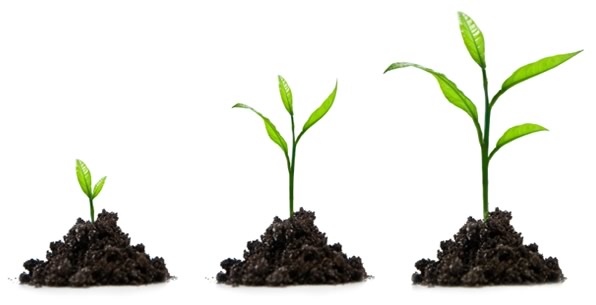 room for growth